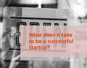 What does it take to be a successful startup?
